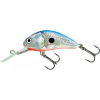 Salmo WOBBLER HORNET H5F RD
