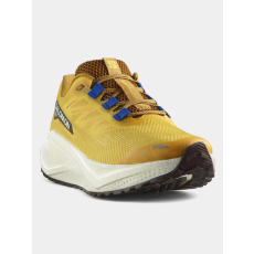 Salomon Aero Blaze 3 GRVL D