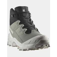 Salomon Crosstrak Wp W D
