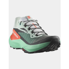 Salomon Genesis  D