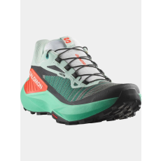 Salomon Genesis D