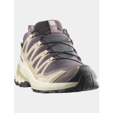 Salomon Xa Pro 3D V9 Gore-Tex D