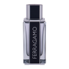 Salvatore Ferragamo Ferragamo, EDT 100ml