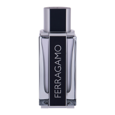 Salvatore Ferragamo Ferragamo, EDT 100ml parfüm és kölni