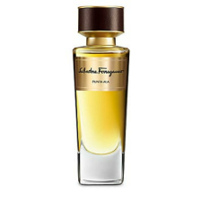 Salvatore Ferragamo Punta Ala EDP 100 ml parfüm és kölni