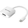 SANDBERG USB-C -> DisplayPort átalakító (136-19) (136-19)