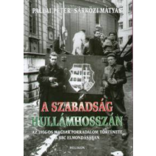 Sárközi Mátyás;Pallai Péter A szabadság hullámhosszán történelem