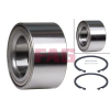 Schaeffler FAG kerékcsapágy készlet 713 6138 10