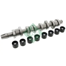 Schaeffler INA vezérműtengely készlet 428 0042 30 autóalkatrész