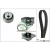 Schaeffler INA Vízpumpa + fogasszíj készlet 530 0258 31