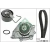 Schaeffler INA Vízpumpa + fogasszíj készlet 530 0376 30