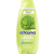 Schauma Nettle Freshness 400 ml