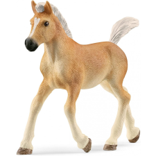 Schleich 13951 Haflingi csikó játékfigura