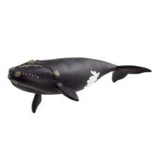  Schleich Észak-Atlanti Kisbálna (15902) játékfigura