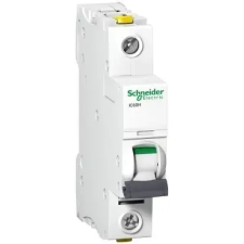 Schneider Electric Kismegszakító 1P,6A, B karakterisztika, 10 kA Acti9 IC60H (Schneider A9F06106) villanyszerelés