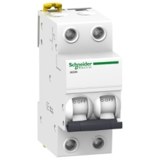 Schneider Electric Kismegszakító 2P,10A, C karakterisztika, 6 kA Acti9 IK60N (Schneider A9K24210) villanyszerelés