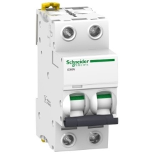 Schneider Electric Kismegszakító 2P,16A, C karakterisztika, 6 kA Acti9 IC60N (Schneider A9F04216) villanyszerelés