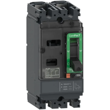 Schneider Electric NSX100S 25A 2P 100KA DC megszakító C10S2TM025 Schneider villanyszerelés