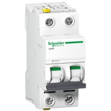 Schneider Electric Zrt. ACTI9 IC60H KISMEGSZAKÍTÓ, 2P, D, villanyszerelés