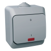 Schneider Electric Zrt. Schneider Cedar kétpólusú kapcsoló, jelzőfénnyel, IP44, szürke (Plus)