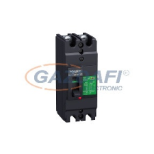 SCHNEIDER EZC100H2032 EZC100H 2P 30kA/400V megszakító 32A villanyszerelés