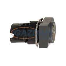 SCHNEIDER ZB6DGL Kulcsos választókapcsoló fej, 2állású villanyszerelés