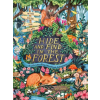 Scholastic Hide and Find in the Forest: A Lift-the-Flap Woodland Adventure – Scholastic (Pevná)