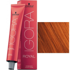 Schwarzkopf Igora Royal Hajfesték 60ml 8-77 hajfesték, színező