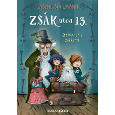Scolar Kiadó Itt mindenki zakkant? - Zsák utca 13. gyermek- és ifjúsági könyv
