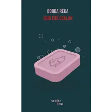 Scolar Kiadó Kft. Égig érő csalán regény