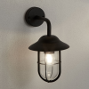 SEARCHLIGHT WELL GLASS Searchlight 3291BK kültéri fali
