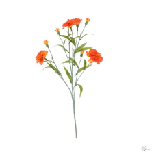  Selyemvirág szegfû csokros 72x22x15 cm narancs dekorációs kellék