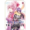 Seven Seas Ayakashi Triangle Vol. 12 | V12