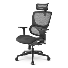 Sharkoon OfficePal C30 Irodai szék - Fekete forgószék