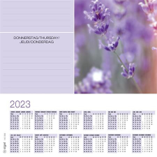  SIGEL Könyökalátét, 595x410 mm, 3 éves, heti tervezővel, SIGEL &quot;Fragrant Lavender&quot; üzletberendezés, dekoráció