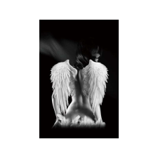Signal Kép ANGEL 80x120 cm grafika, keretezett kép