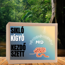  Sikló MID kezdőcsomag - bébi siklóknak hüllőfelszerelés