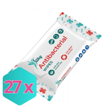  Silky Nedves törlőkendő, antibakteriális 10 darabos KARTON - 27 db tisztító- és takarítószer, higiénia