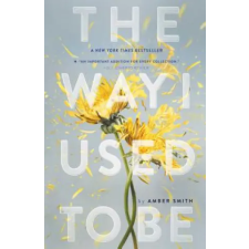 Simon &amp; Schuster The Way I Used to Be | Amber Smith egyéb könyv