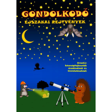 Simon József (magánkiadás) Gondolkodó - Éjszakai rejtvények gyermek- és ifjúsági könyv