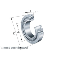 SKF T2ED055 /CLN SKF Csapágy barkácsolás, csiszolás, rögzítés