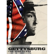 Slitherine Ltd. Gettysburg: The Tide Turns (digitális licenc) videójáték