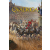 Slitherine Ltd. Qvadriga (digitális licenc)