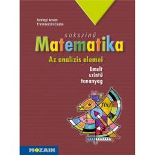 Sokszínű matematika tankönyv 12. osztály (MS-2313) egyéb könyv