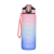 Soler Hispania SL P.I Carrascot Bewinner ombre vizes kulacs 600ml pink
