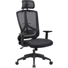 Songmics Ergonomikus Irodai Szék Állítható Fejtámlával Fekete forgószék