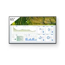 Sony Bravia FW-65BZ30L monitor