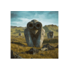 Sony Jean-Michel Jarre - Equinoxe Infinity (Digipak) (CD)