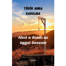 Soraya Kiadó Ahol a domb az éggel összeér regény
