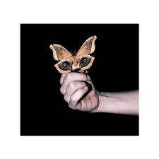  Soulwax - All Systems Are Lying (CD) elektronikus